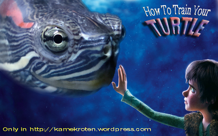 how-to-train-your-turtle-2.jpg